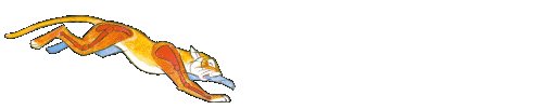 page02-4.png